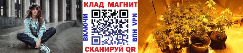 Бошки Шишки Куса