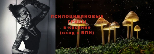 скорость Алзамай