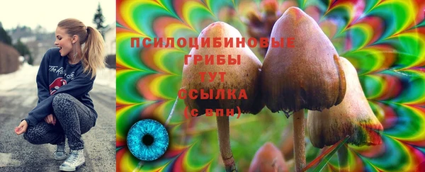 скорость Алзамай